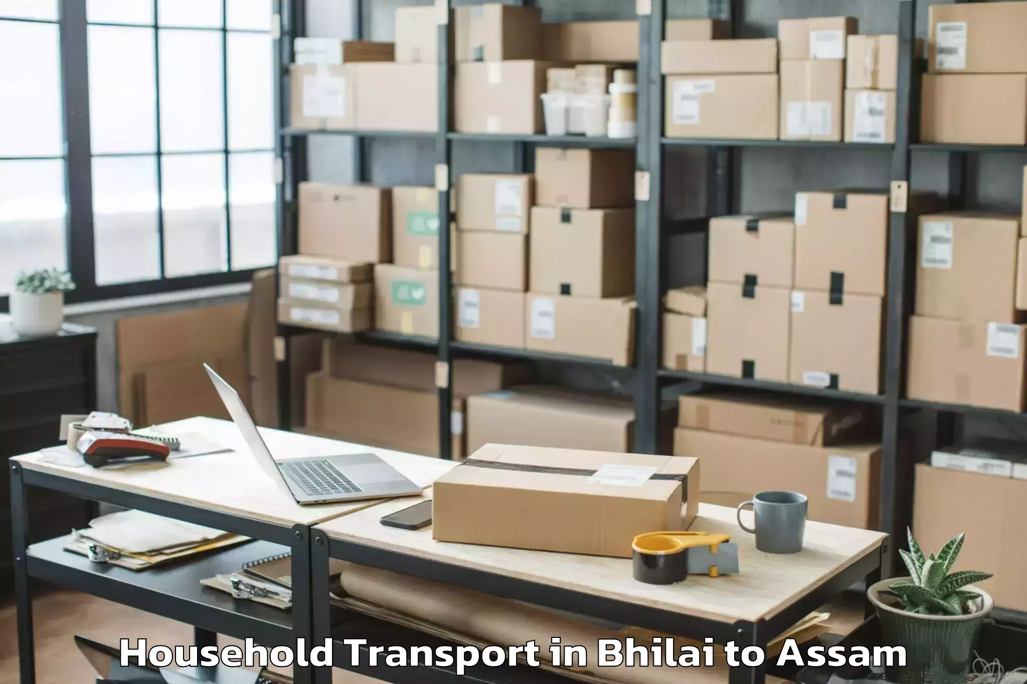 Get Bhilai to Gauhati University Guwahati Household Transport